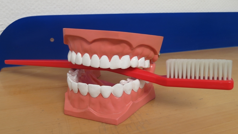 Bild "Patienteninfo:kinderzahnarzt_augsburg.JPG"